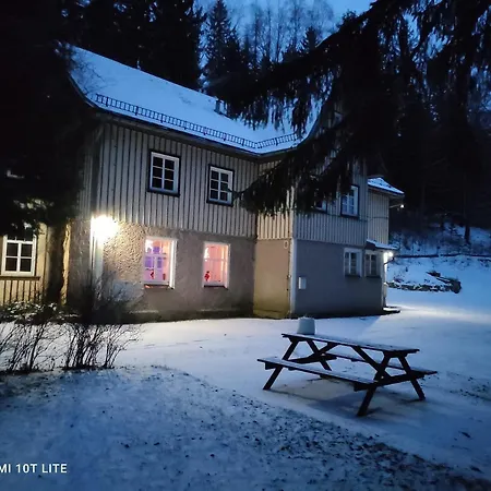 Pensjonat Dw Leśnik